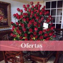 OFERTAS FLORES A LA CARTA